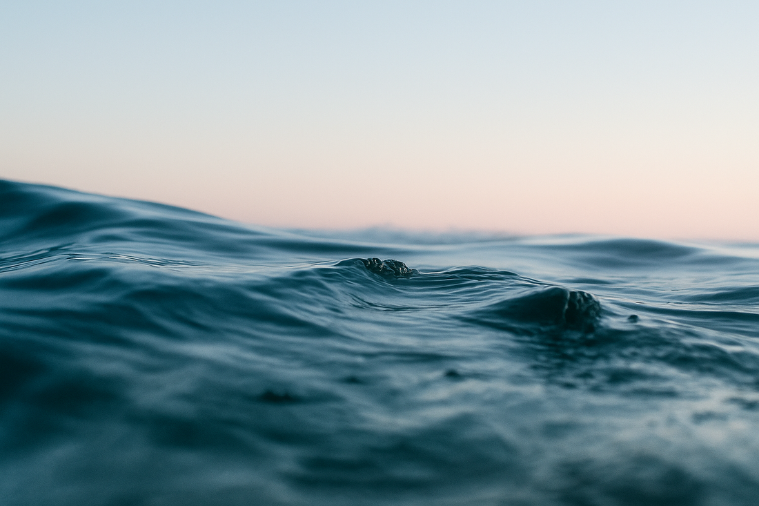 Why is the Ocean Important? Seven Reasons to Protect Our Oceans